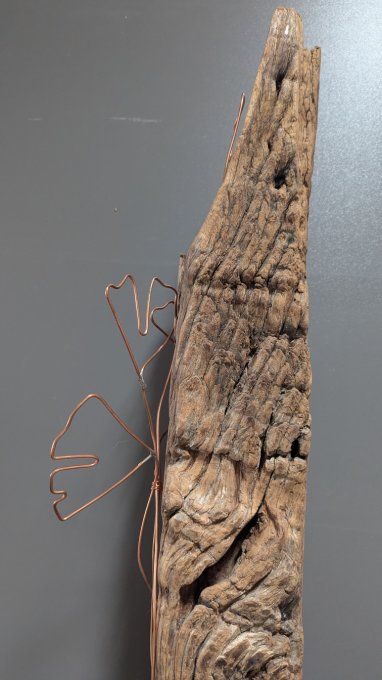 Ancien Bois de Charpente en Châtaignier ( 1869) 