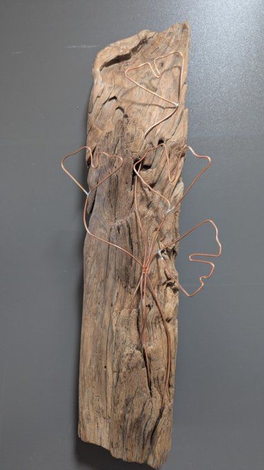 Ancien Bois de Charpente en Châtaignier ( 1869)