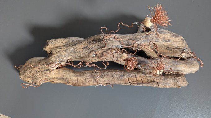 Branche de lierre ancien