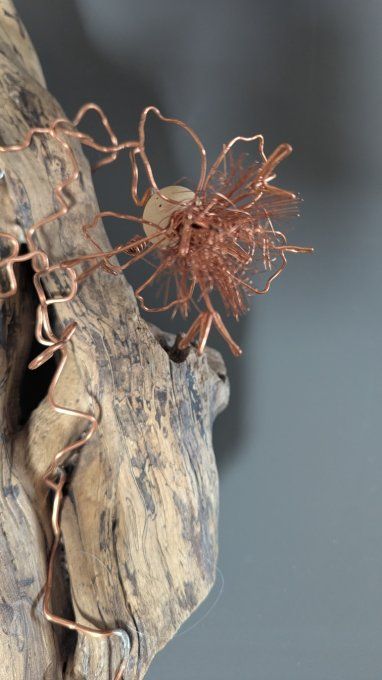 Branche de lierre ancien